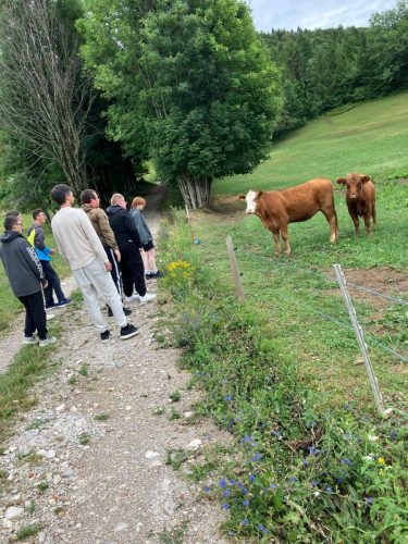 Inkluzivni tabor V srcu 2025