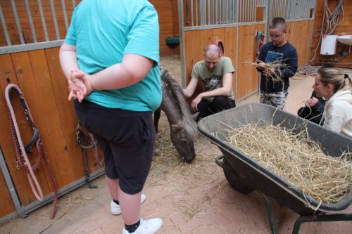 Inkluzivni tabor V srcu 2025