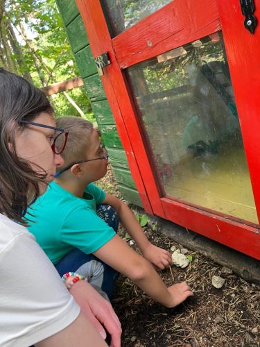 WhatsAppova-datoteka-Slika-2025-07-17-ob-13.35.46 92443932